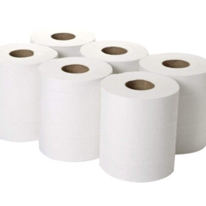 ECOSOFT MAXI ROLL 2 PLY 6 PIECES